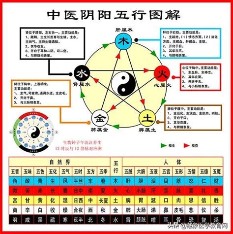 中醫陰陽五行學說|第9講第一章 第二節 陰陽學說 五行學說